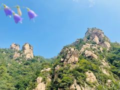 -大岭沟猕猴桃谷风景区