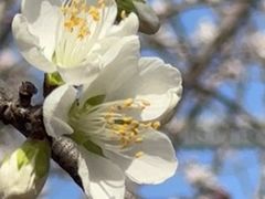-滨河世纪广场公园