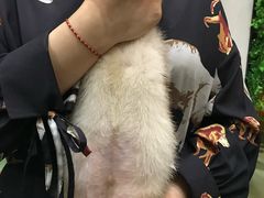 -藦茜花园宠物主题亲子互动体验馆(国顺东路店)
