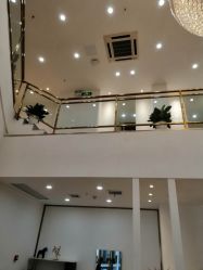 -YESIDO椰岛造型