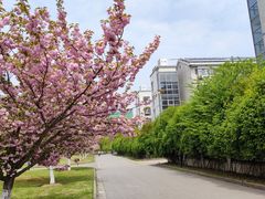-江南大学(蠡湖校区)