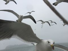 -海驴岛(荣成市)
