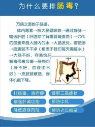-御品•瑶浴灸疗SPA