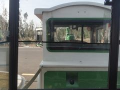 -漩门湾国家湿地公园