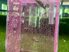 -上海昆虫博物馆