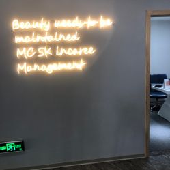 -MC皮肤管理中心