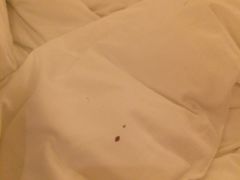 -三清山希尔顿度假酒店