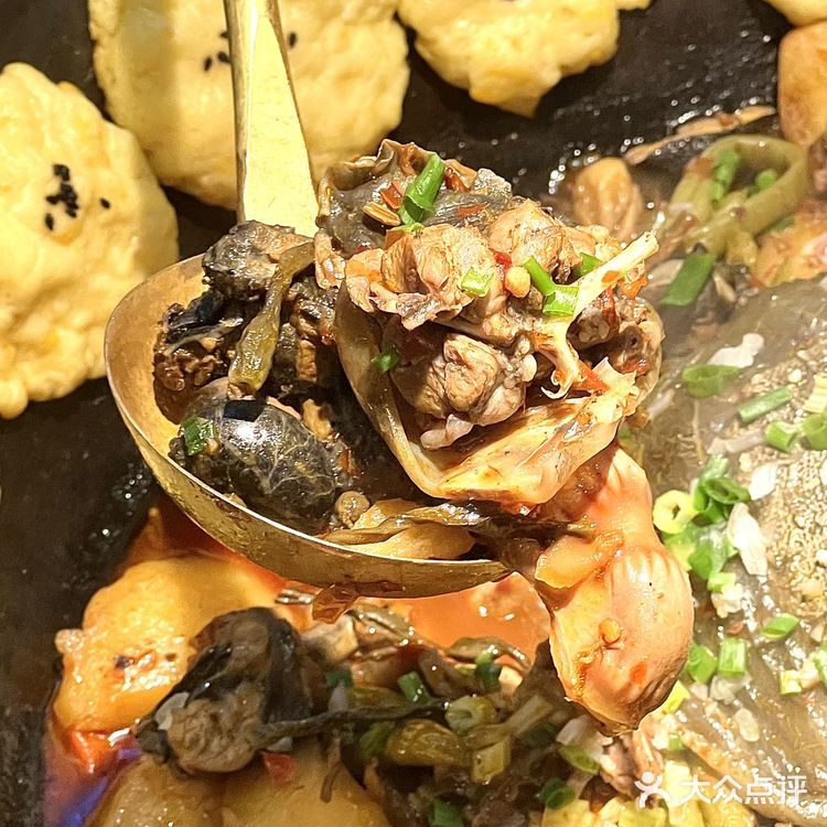 成都探店｜御凤甲吃鸡节椒麻鸡免费畅吃