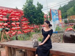 -龙福源密云水库灶台鱼