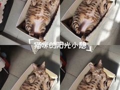 -四川大学(望江校区)