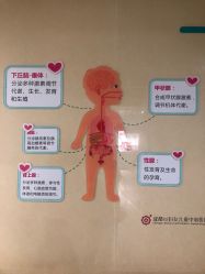 -成都市妇女儿童中心医院(中心院区)