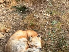 -杭州野生动物世界