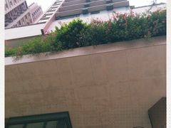 -油麻地果栏