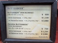 -哈利波特魔法世界