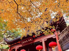 -杭州黄龙洞