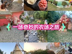 -HERRE·FARM 赫尔露营农场·团建聚会包场