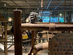 -绿色星球动物主题公园