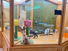 -帕帕拉兹宠物(亚洲旗舰店)