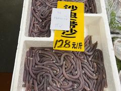 -寻味顺德·南记酒家·传统顺德菜·鱼生(广源路店)