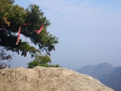 -太平万花山景区