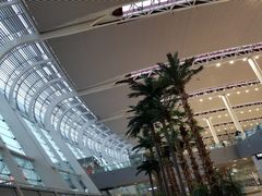 -合肥新桥国际机场-航站楼