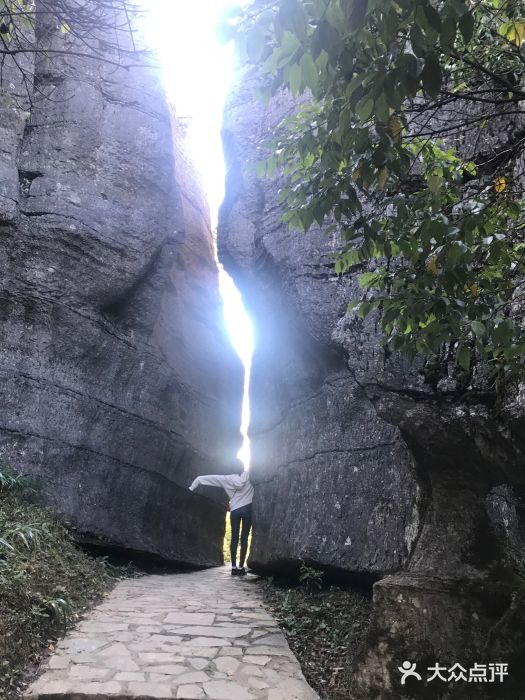 山王坪喀斯特国家生态公园图片