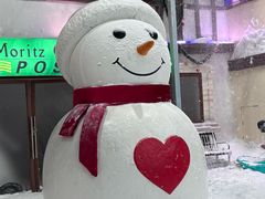 -世界之窗阿尔卑斯冰雪世界