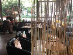 -咖法森林·咖啡  酒吧(天河店)