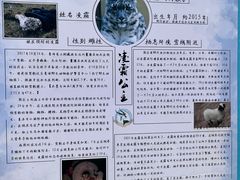 -青藏高原野生动物园
