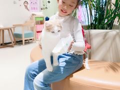 -藏猫猫咖啡主题馆(中央大道店)