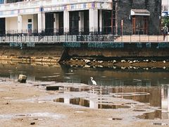 -天后宫岭南民俗文化街