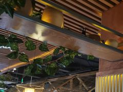 -探窝·竹笙椰子鸡(杨箕店)