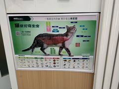 -瑞派·关忠动物医院·猫专科·犬专科(三环新城店)