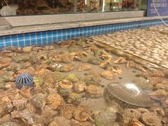 -一方渔歌蒸汽海鲜自助(文化路万达广场店)