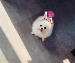 -M2匠心美甲美睫半永久