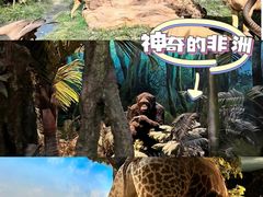 -国家自然博物馆