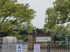 -嘉定紫藤园