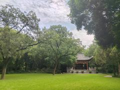 -汇龙潭