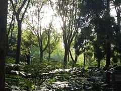 -苏州河梦清园环保主题公园