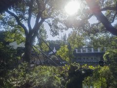 -上海醉白池公园