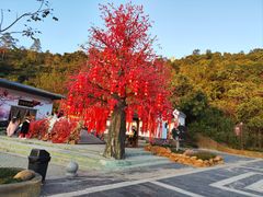 -东莞观音山旅游风景区