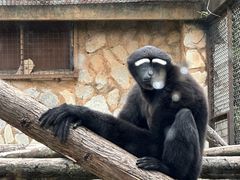 -云南野生动物园