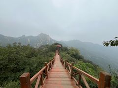 -大岭沟猕猴桃谷风景区