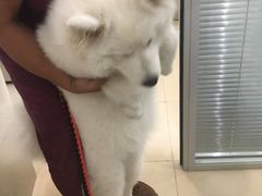 -美迦爱-牙专科·兔科·骨科诊疗中心(北苑店)