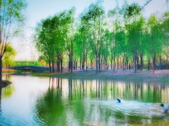 -东郊湿地公园