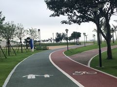 -野狸岛