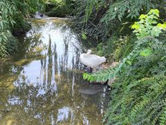 -石景山区图书馆(八角南路)