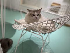 -极木²邸 人与宠物·互动社区