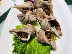 -老虎滩船说·海胆水饺·大连海鲜(老虎滩店)