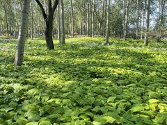 -森林公园(尖草坪区)